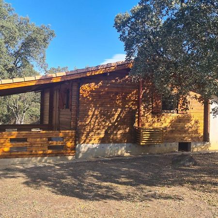 Chalet Climatise Porticcio Corse Fontanaccio Eksteriør bilde