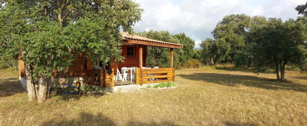Chalet Climatise Porticcio Corse Fontanaccio Eksteriør bilde